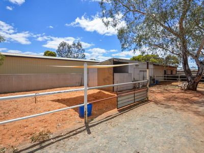 7 Wortley Street, Somerville