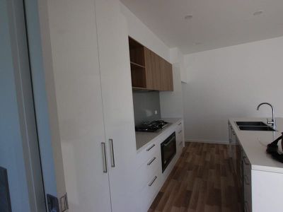 41 Willana Avenue, Hamlyn Heights