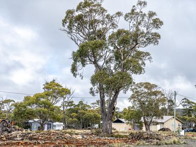 3 Trout Crescent, Miena