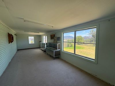 50 Porcupine Lane 'Seymour', Tintinhull