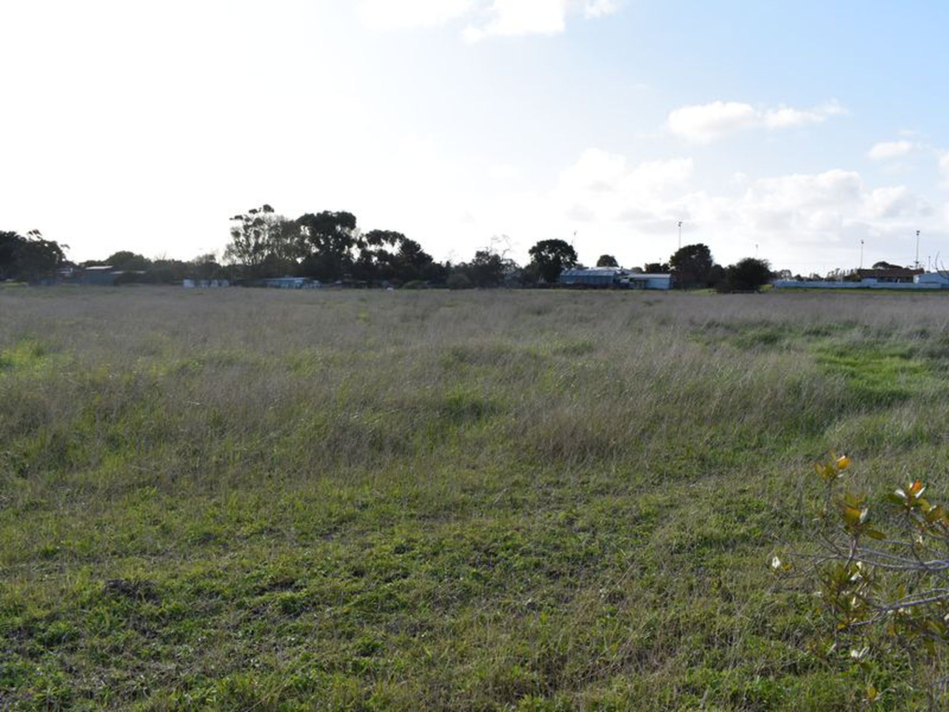 Lot 137, Plunkett Terrace, Millicent