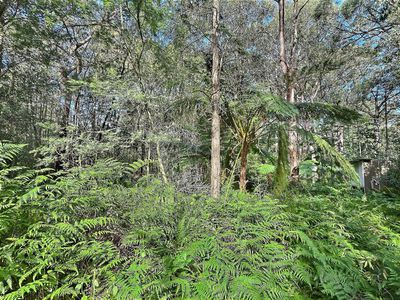 Lot 8, Pelican Road, St Georges Basin