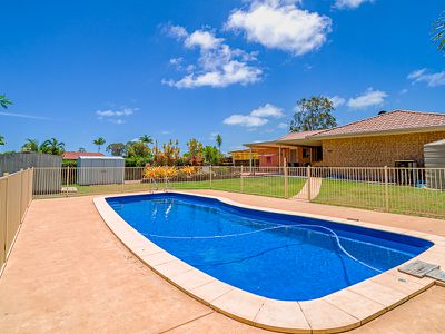 42 Ibis Boulevard, Eli Waters