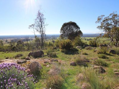 253 Warby Tower Road, Killawarra