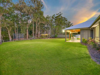 53 Apple Gum Place, Palmview