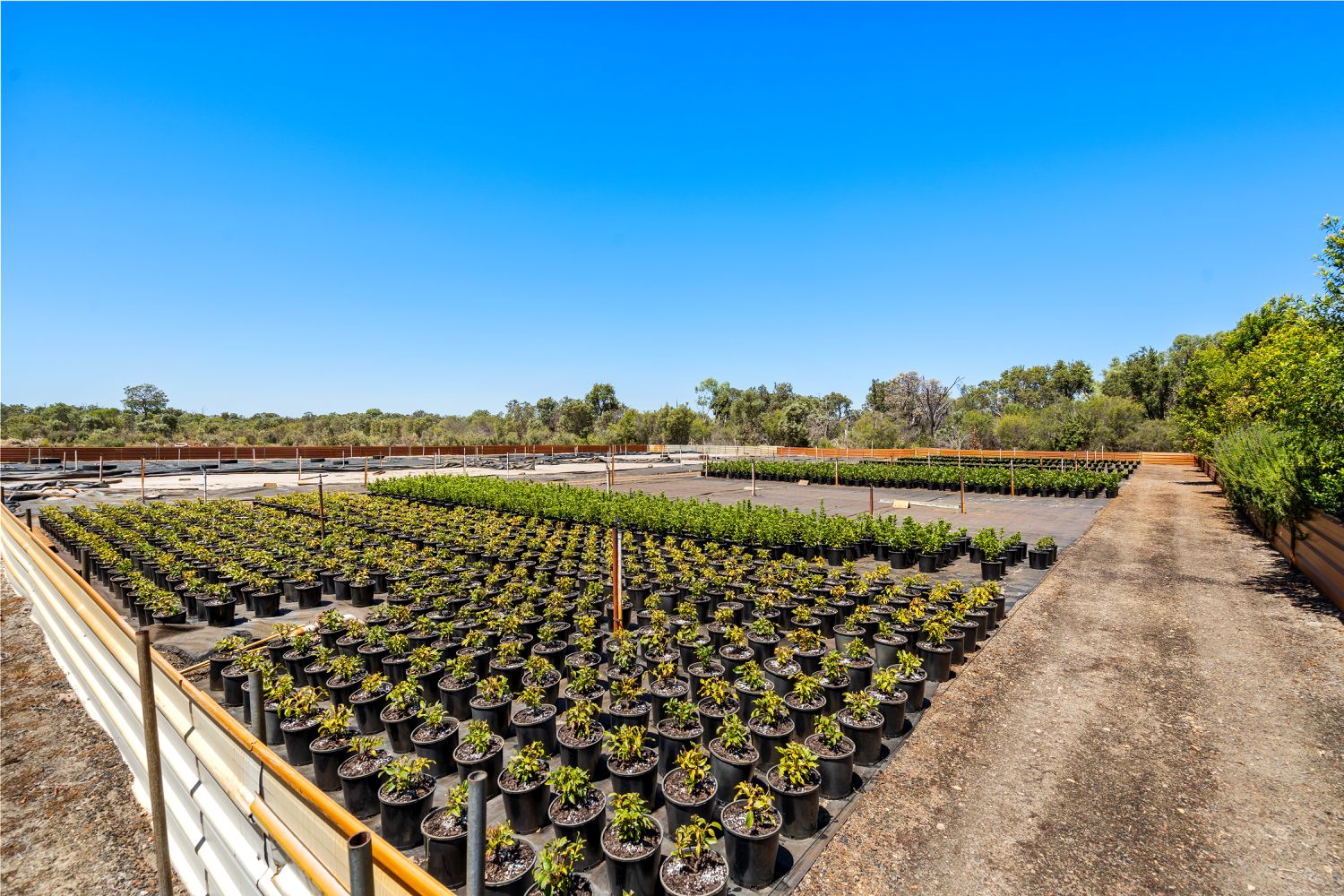 37 Landgren Road, Casuarina