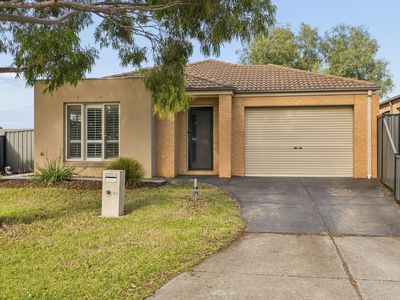 43 Billabong Crescent, Tarneit
