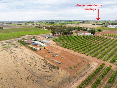 1214 Cowra Avenue, Irymple