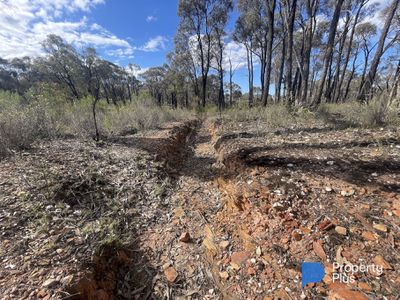 CA 37H Olympic Parade, Maiden Gully