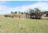 Lot 100 Emu Swamp Road, Orange