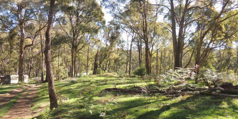 11 / Tames Road, Strathbogie
