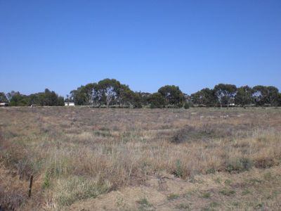 24 Borough Drive, Kerang