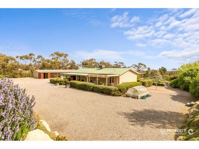 103B Sambell Road, One Tree Hill