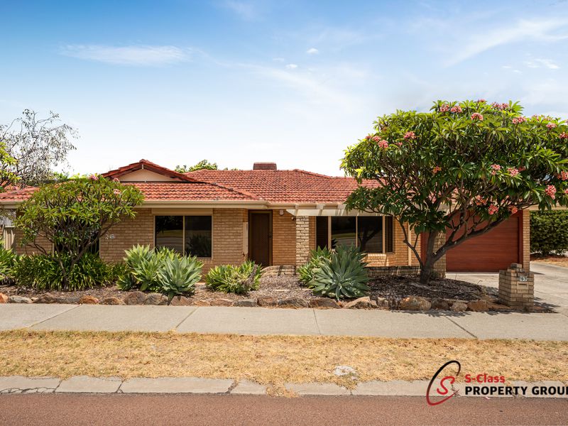 163 Rostrata Avenue, Willetton