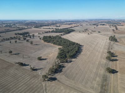 1501 Howlong-Goombargana Road, Brocklesby