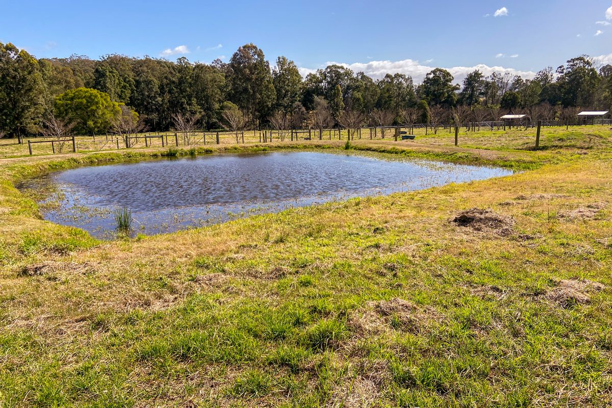 54 Red Gully Road, Burrell Creek