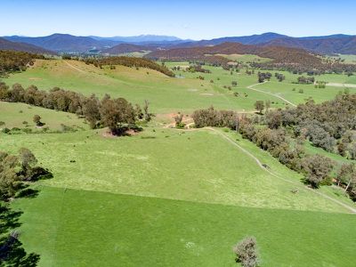 Lot 1 & 2 Bullhead Road, Mitta Mitta