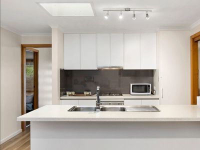 20 The Court, Leopold