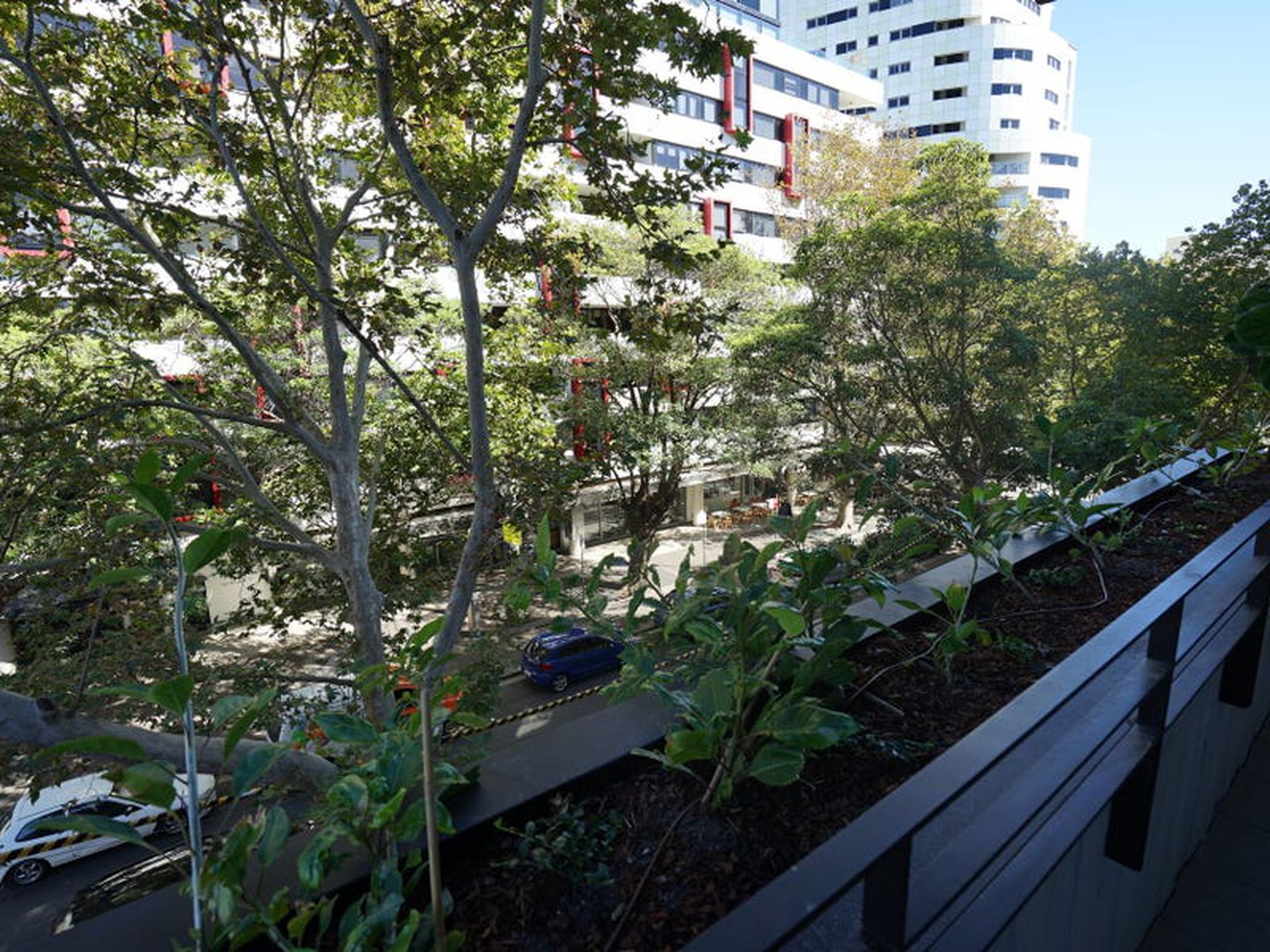 5 / 350 Bourke Street, Surry Hills