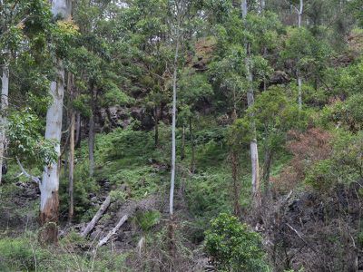 L179 Kilcoy Lane, Conondale