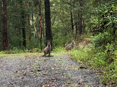 16 Old Schoolhouse Road, Crawford River