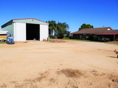 Kingaroy