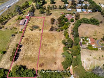 236 Tea Tree Road, Brighton