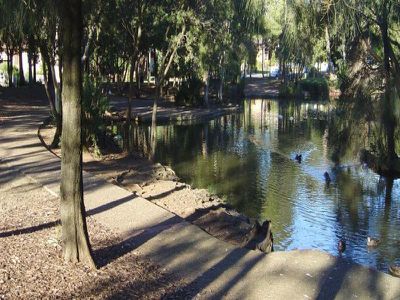 70 Alice STREET, Wiley Park