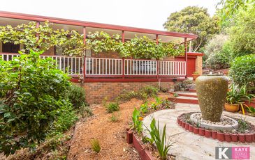 17 Shute Avenue, Berwick