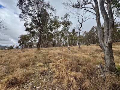 Lot 231, Wollun Road, Walcha Road
