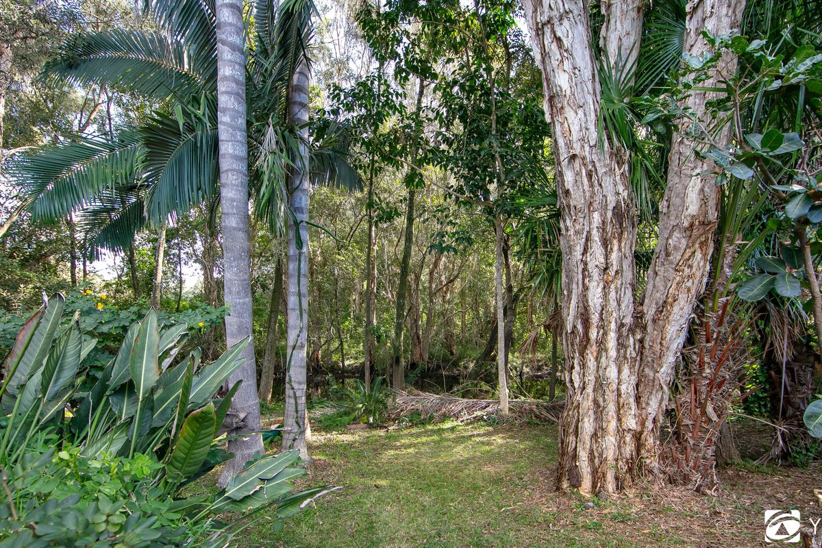 3 / 5 Mulgi Street, Yamba