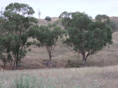 Lot 11 Halls Creek Road, Manilla