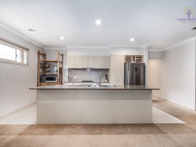 93 Tristania Drive, Point Cook