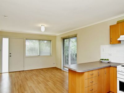 6 / 16 Stafford St, Herne Hill