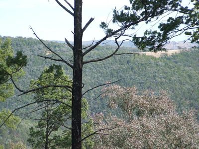 Lot 182 Reedy Creek Road, Tenterfield