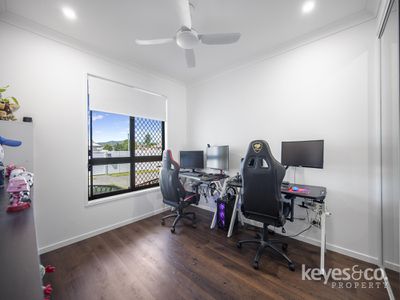 12 Norris Street, Hermit Park