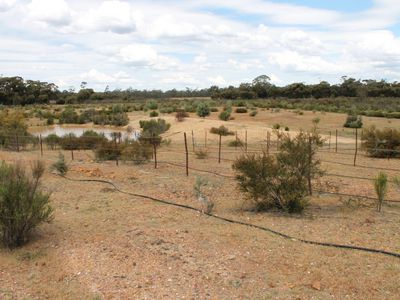 Lot 1  Tait Hamilton Road, Gobarup