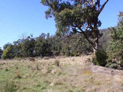 Lot 10, Lonnavale Road, Lonnavale