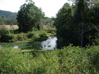 Kandanga Creek