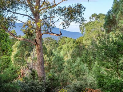 Lot 2 Amelia Street, Gordon