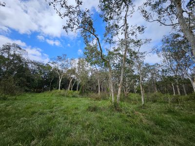 Lot 6, . Endeavour Valley Road, Cooktown