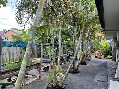 3 Dougan Street, Point Vernon