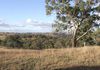 1704 Ophir Road, Orange