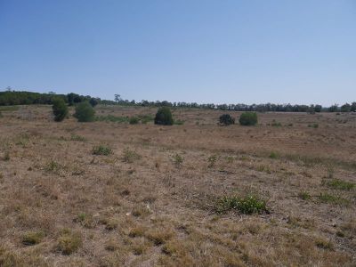 322 Mcauliffes Road, Kingaroy