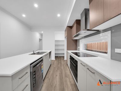 21 Cheddar Street, Donnybrook