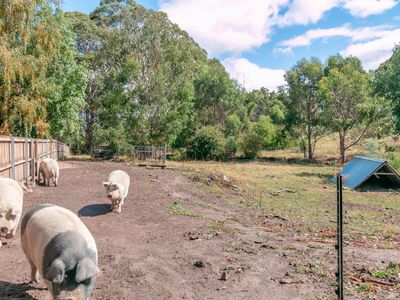 1 Conlans Road South, Huonville