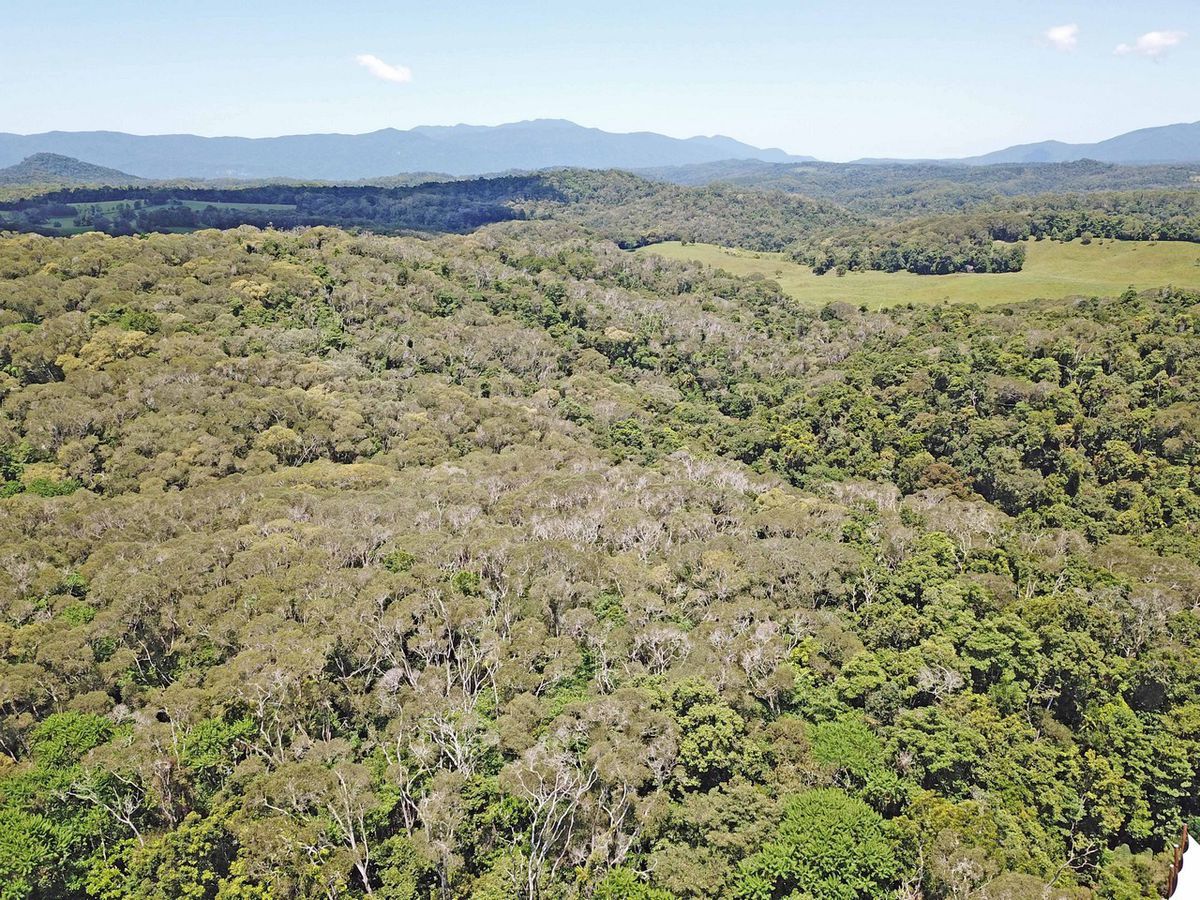 Lake Eacham