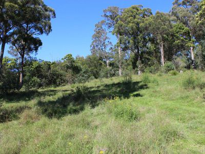 Lot 14 Stringybark Place, Millingandi
