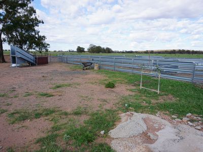 'Winderra Park' Bellarwi Road, West Wyalong