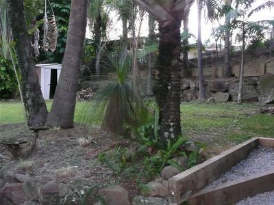 3  Sultan , Rochedale South